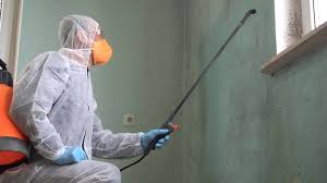 Professional Mold Removal in Hopatcong, NJ