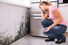 Best Basement Mold Removal in Hopatcong, NJ